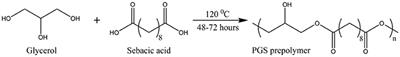 Synthesis, Characterization and 3D Micro-Structuring via 2-Photon Polymerization of Poly(glycerol sebacate)-Methacrylate–An Elastomeric Degradable Polymer
